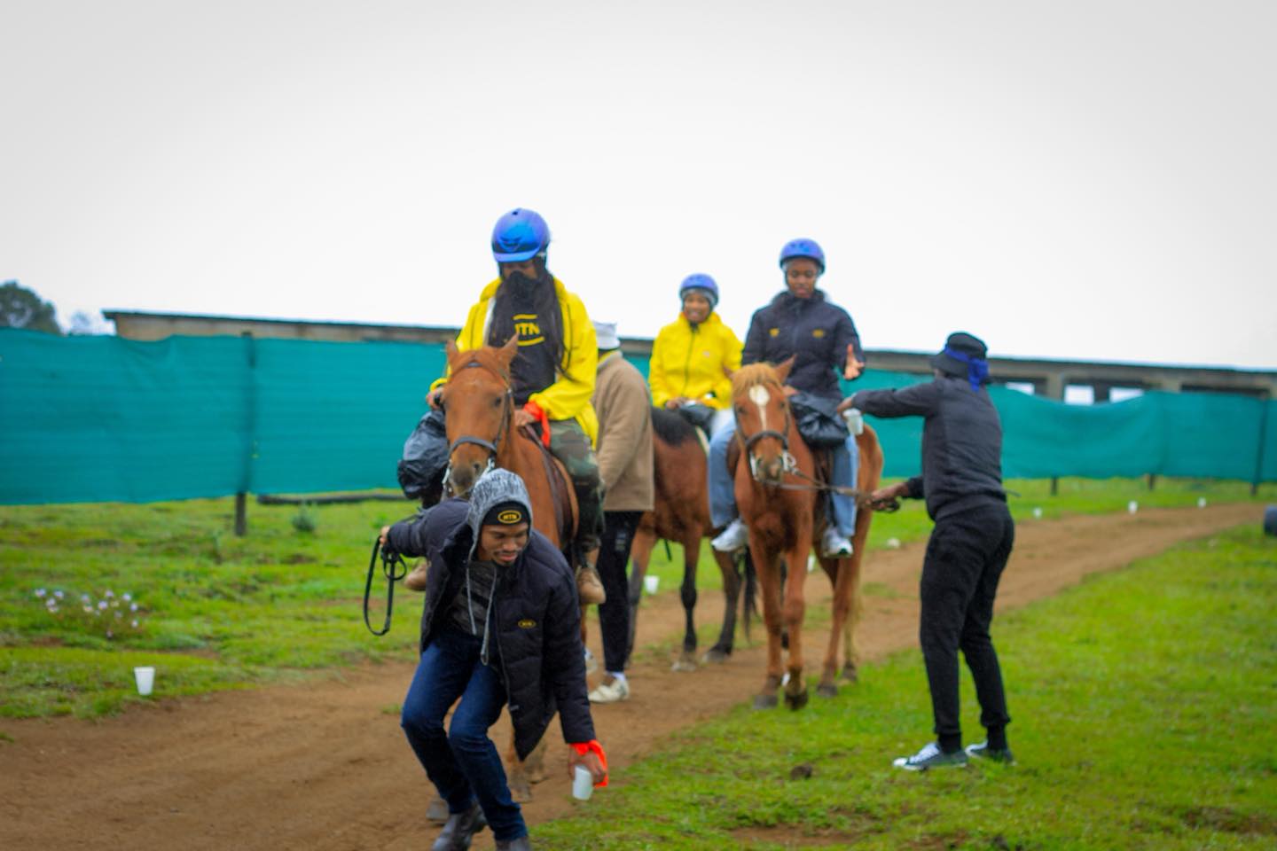 Farm Activity